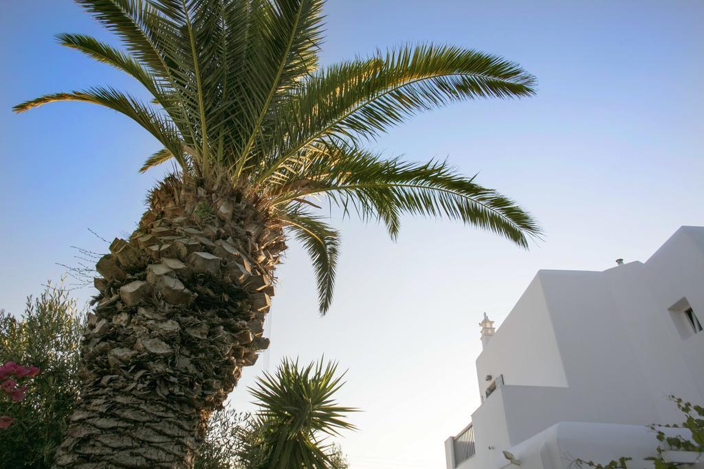 Anna-Maria Mykonos Hotel Glastros  Ngoại thất bức ảnh